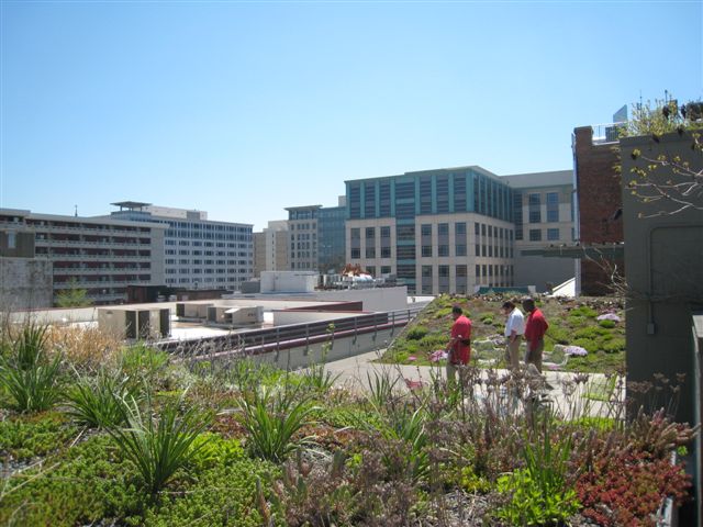 American Society of Landscape Architects Headquarters
