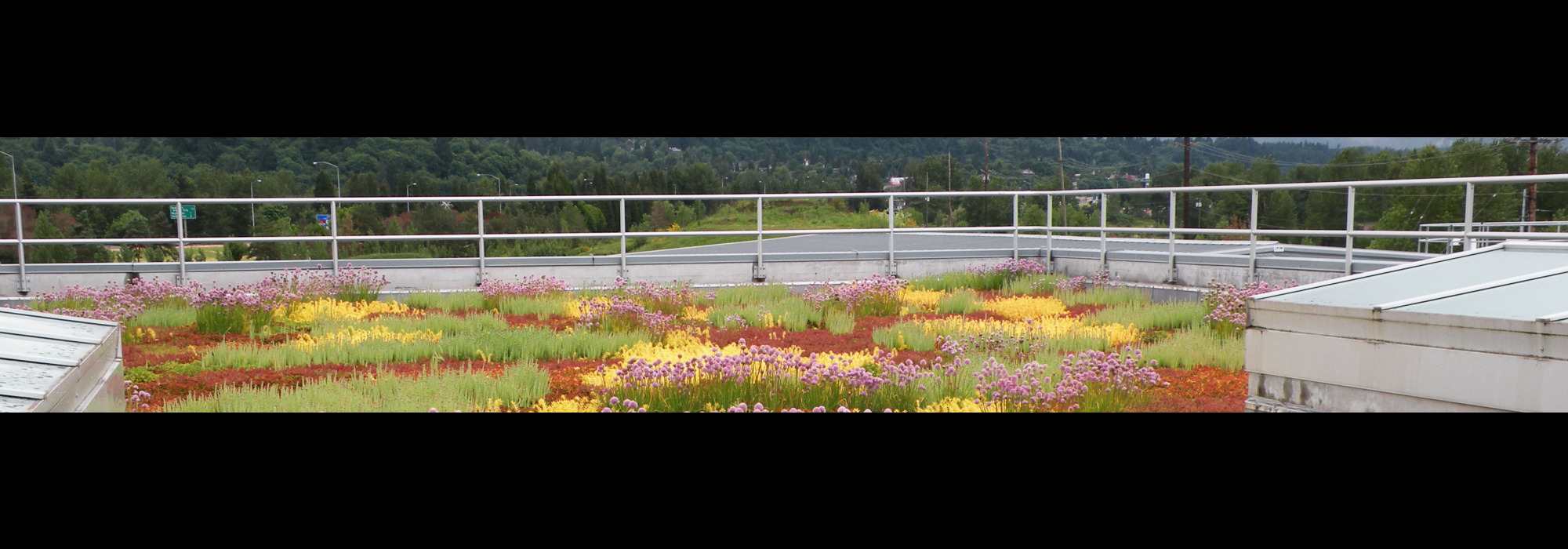 garden roof